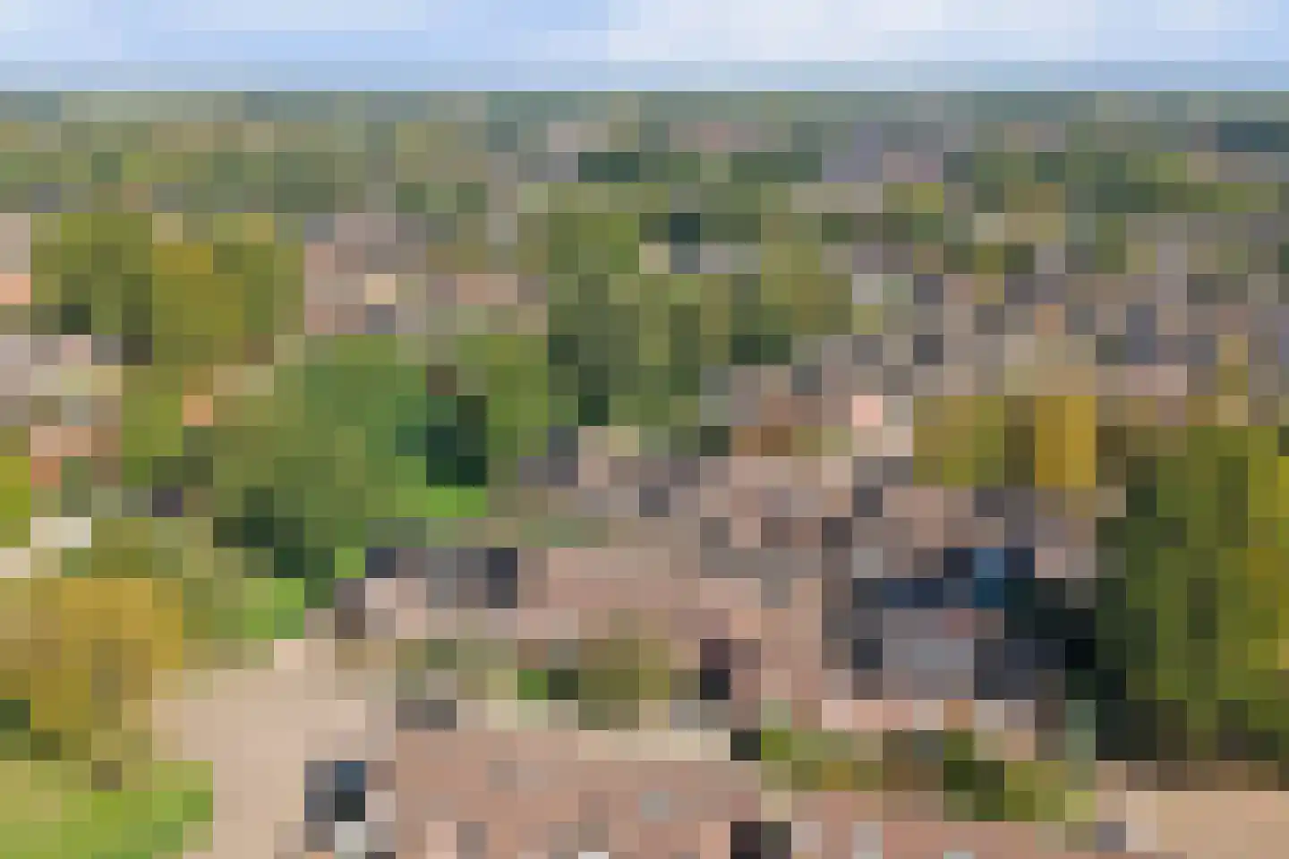 De Groenling 42 Vriezenveen thumbnail 44