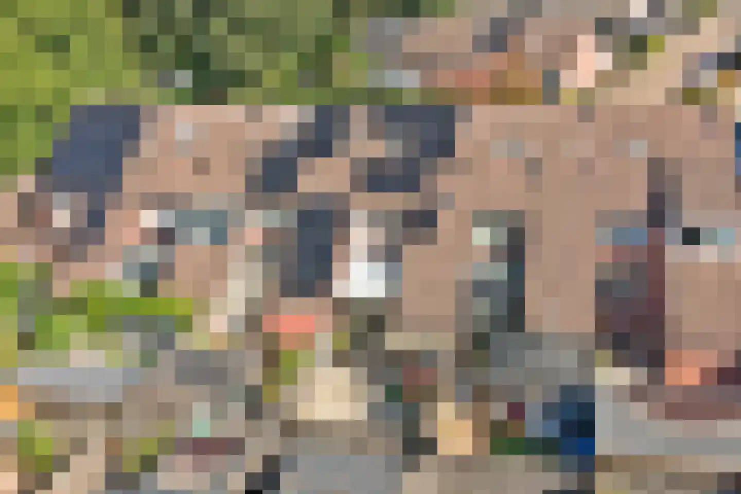 De Groenling 42 Vriezenveen thumbnail 45