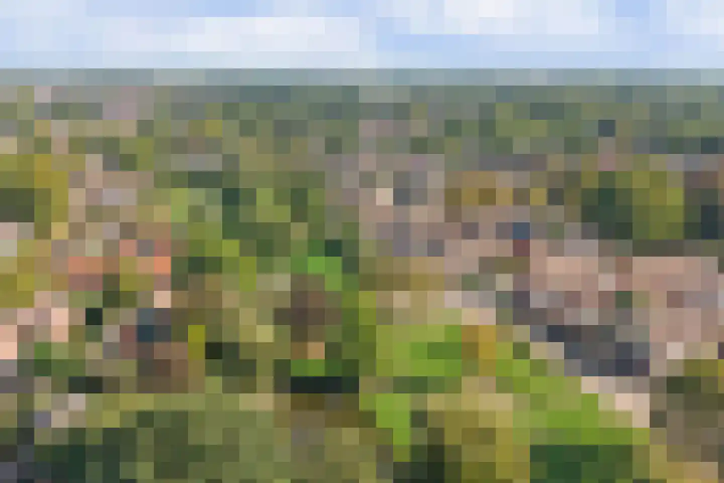 De Groenling 42 Vriezenveen thumbnail 46