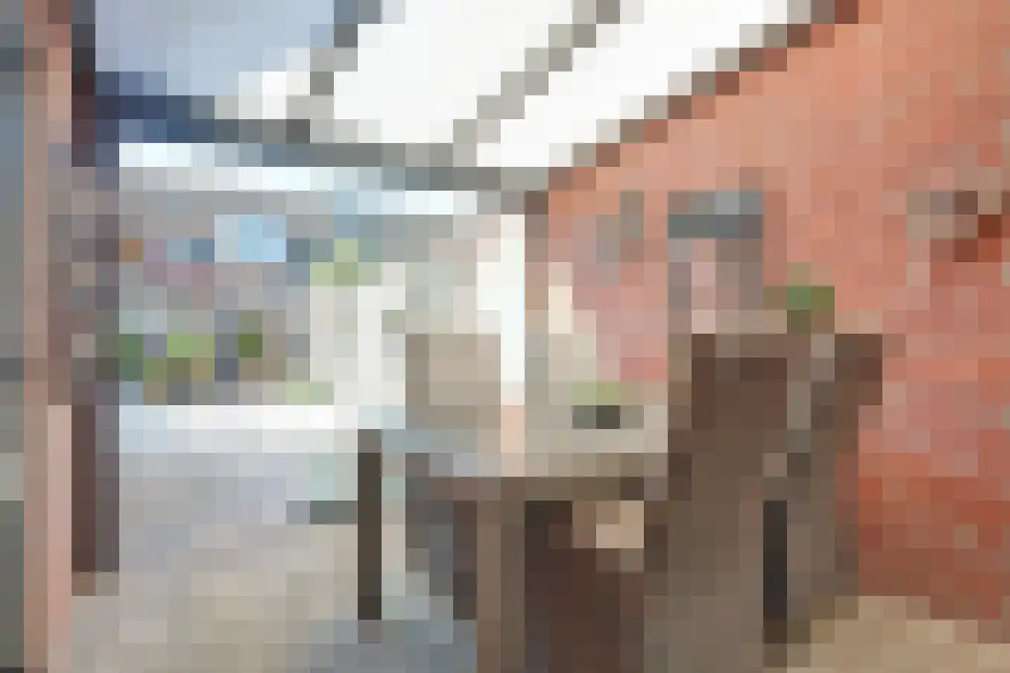 De Groenling 42 Vriezenveen thumbnail 5
