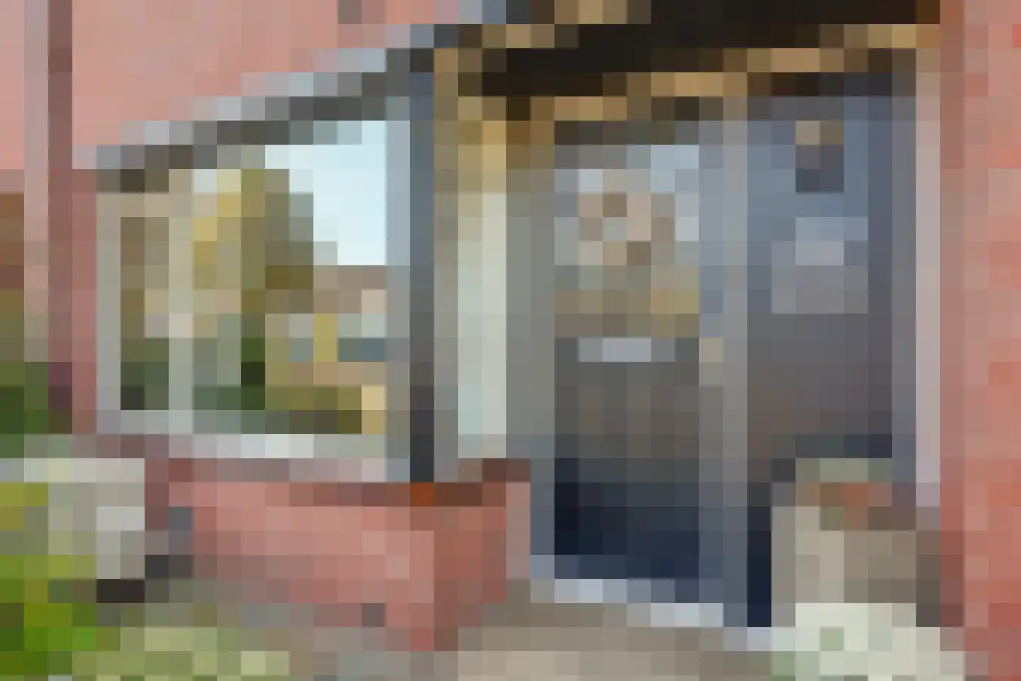 De Groenling 42 Vriezenveen thumbnail 6