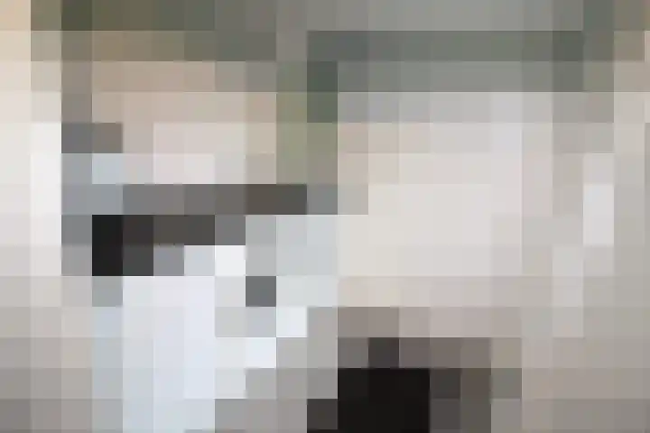 De Groenling 64 Vriezenveen thumbnail 12