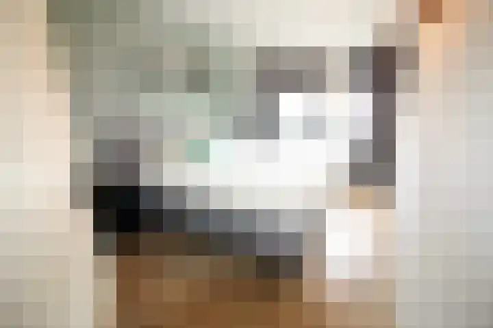 De Groenling 64 Vriezenveen thumbnail 13