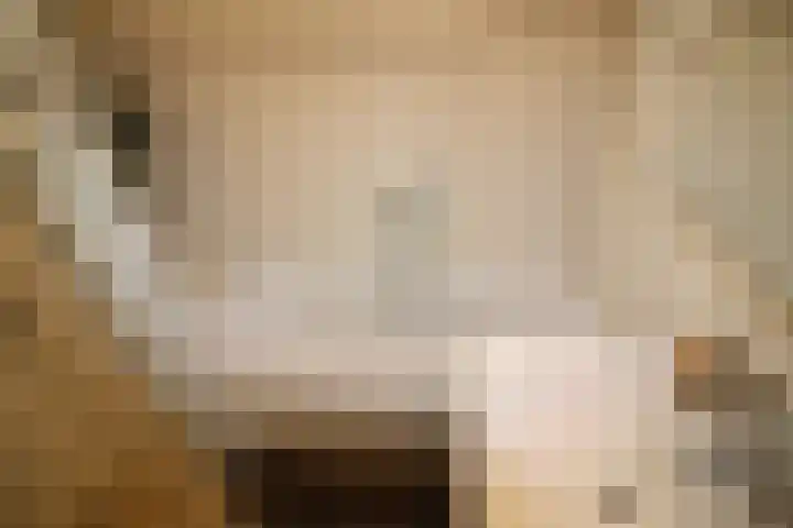 De Groenling 64 Vriezenveen thumbnail 17
