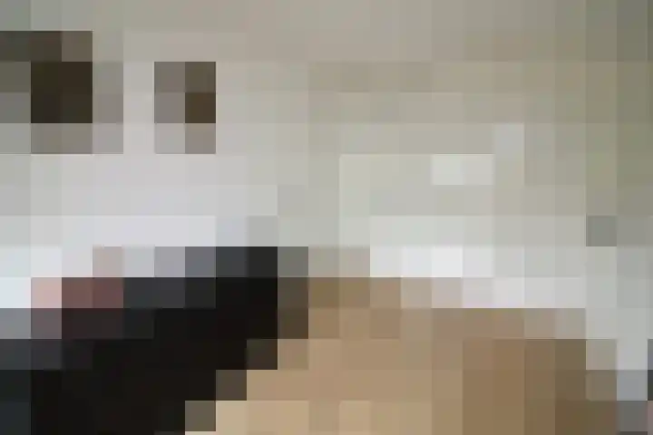 De Groenling 64 Vriezenveen thumbnail 21