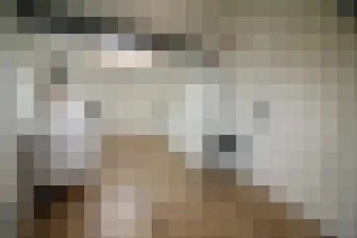 De Groenling 64 Vriezenveen thumbnail 25