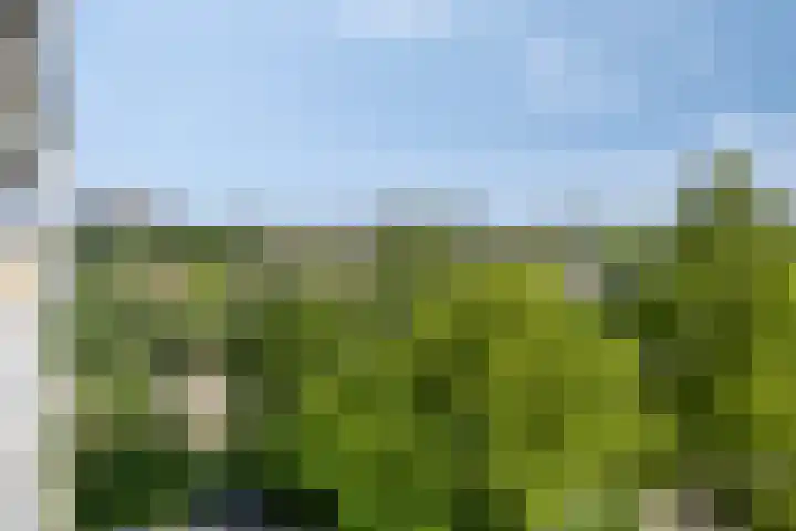 De Groenling 64 Vriezenveen thumbnail 27