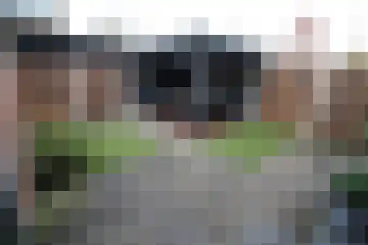 De Groenling 64 Vriezenveen thumbnail 27