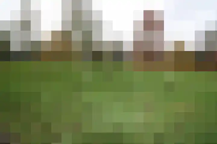 De Groenling 64 Vriezenveen thumbnail 32