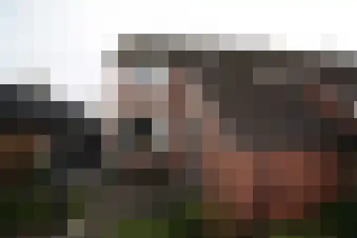 De Groenling 64 Vriezenveen thumbnail 33