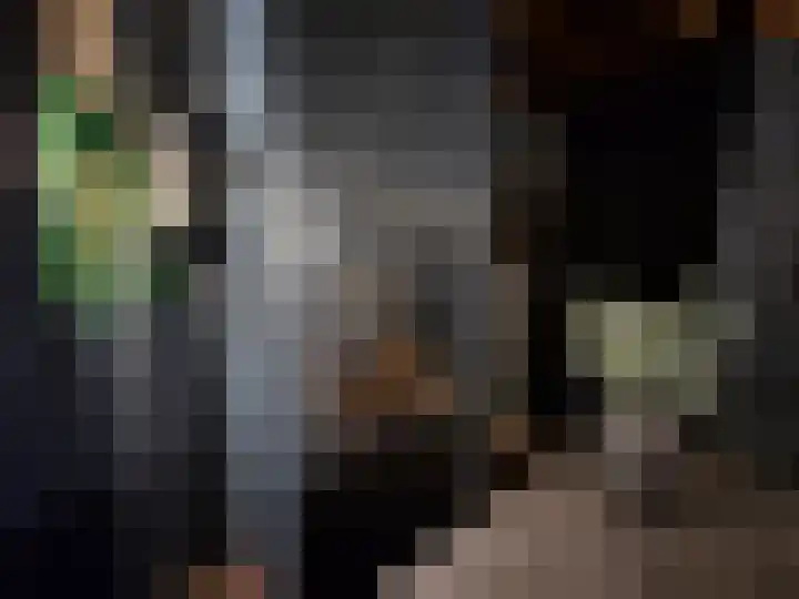 De Groenling 64 Vriezenveen thumbnail 41