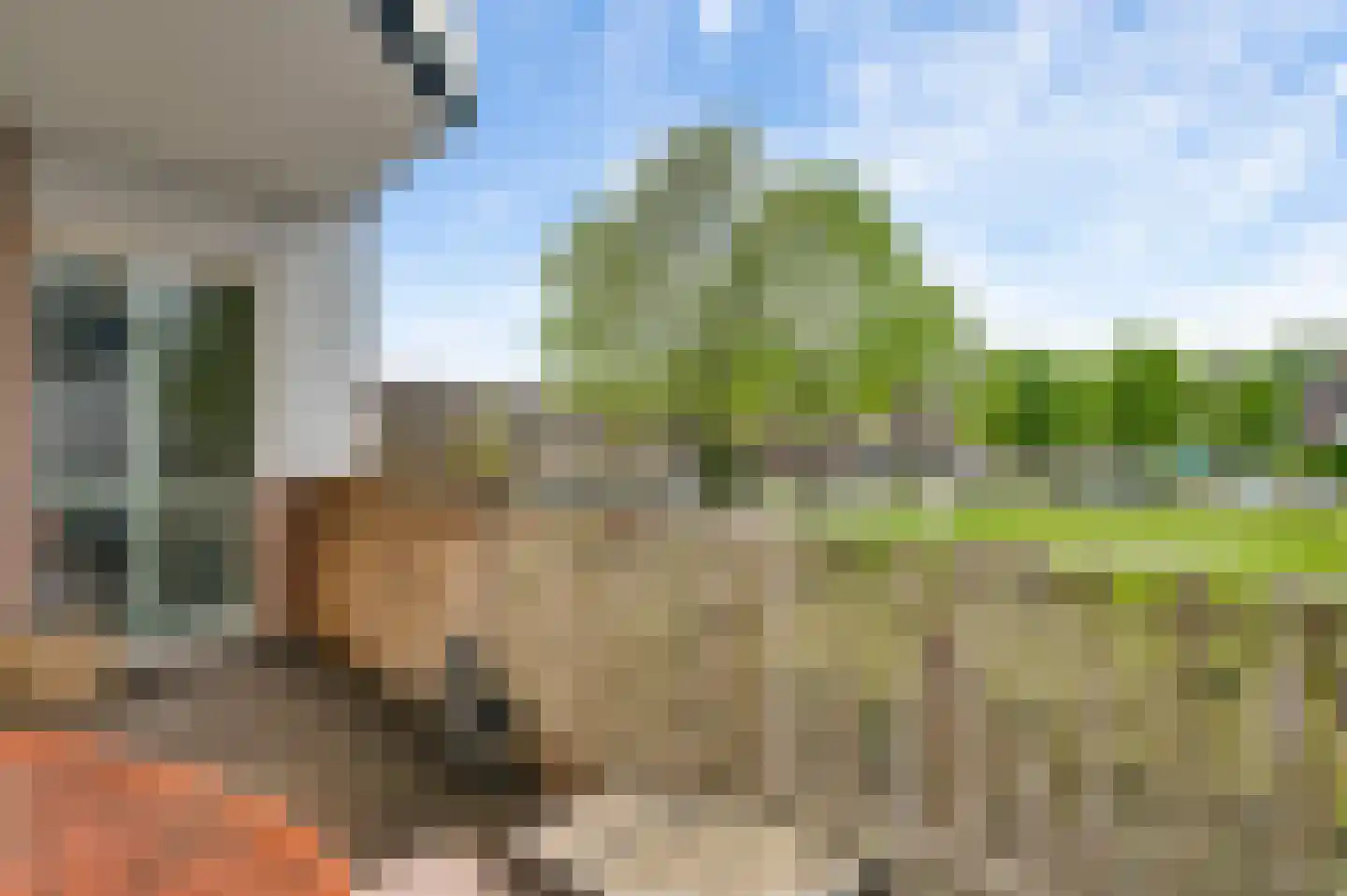 De Groenling 7 Weert thumbnail 17