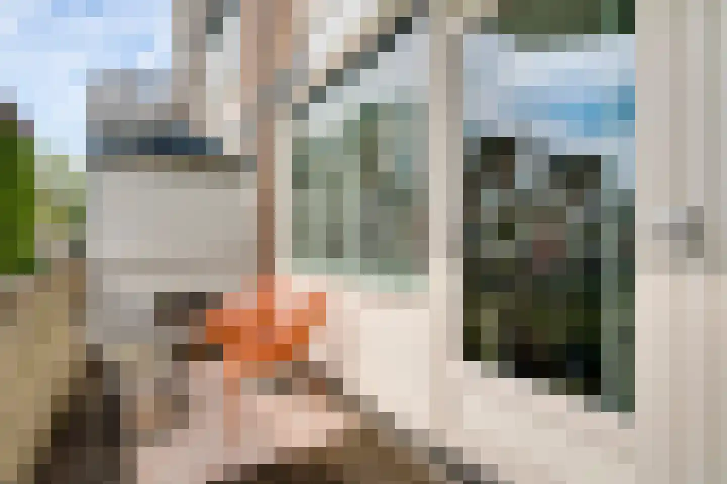 De Groenling 7 Weert thumbnail 18