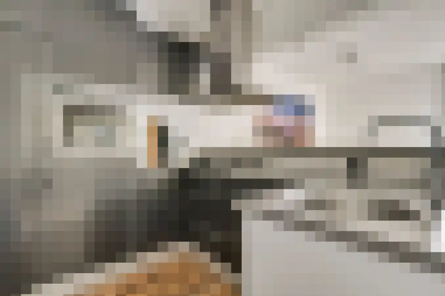 De Groenling 7 Weert thumbnail 8