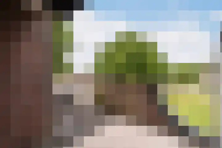 De Groenling 9 Weert thumbnail 25