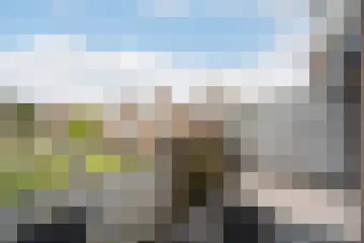 De Groenling 9 Weert thumbnail 26