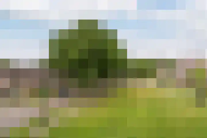 De Groenling 9 Weert thumbnail 28