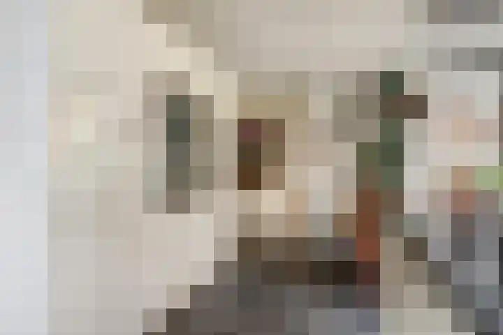 De Groes 2 d Schalkwijk thumbnail 16