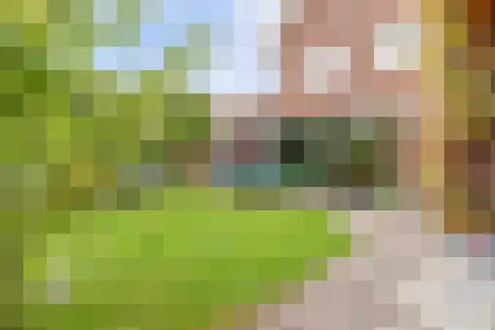 De Groes 2 d Schalkwijk thumbnail 25