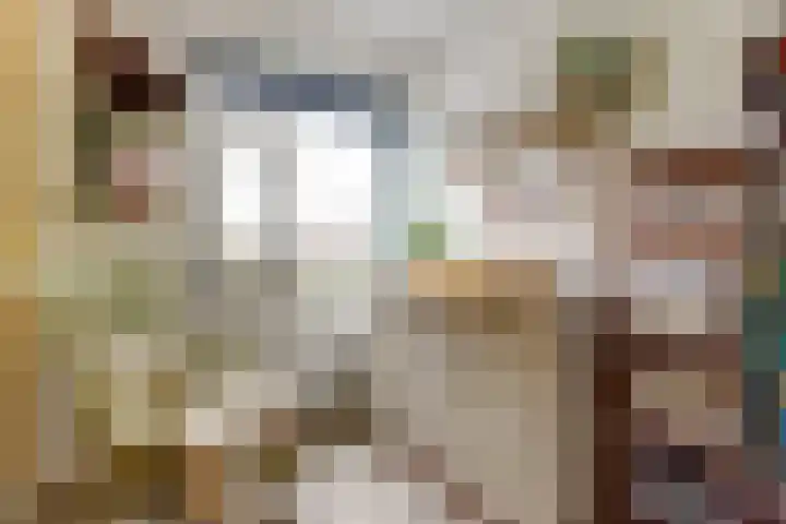 De Groes 2 d Schalkwijk thumbnail 30