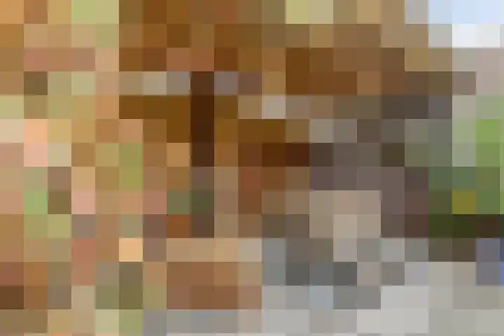 De Groes 2 d Schalkwijk thumbnail 4