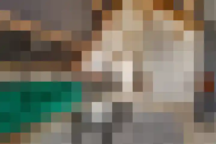 De Groes 2 d Schalkwijk thumbnail 45