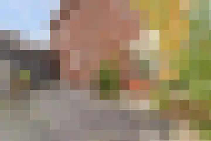 De Groes 2 d Schalkwijk thumbnail 50