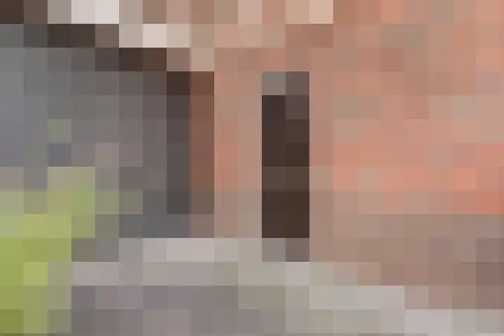 De Groes 2 d Schalkwijk thumbnail 51
