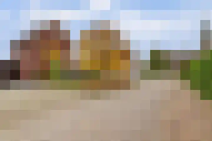 De Groes 2 d Schalkwijk thumbnail 54