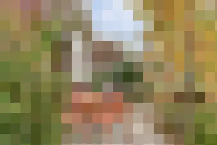 De Groes 2 d Schalkwijk thumbnail 57