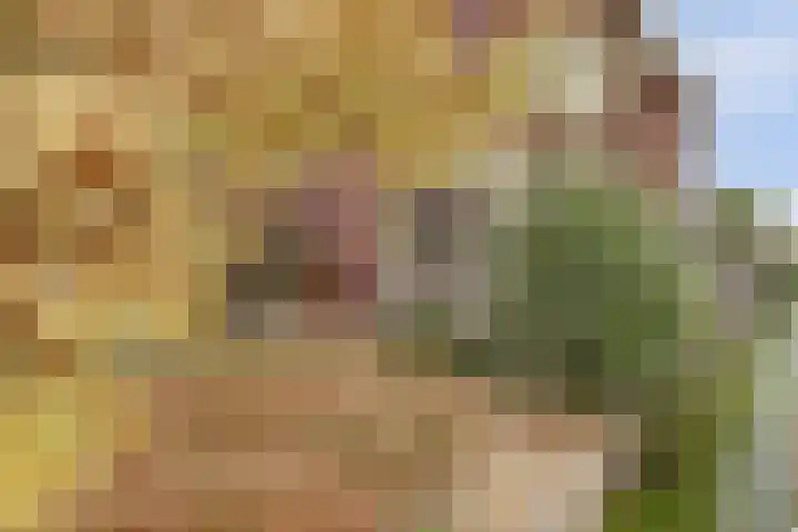 De Groes 2 d Schalkwijk thumbnail 58