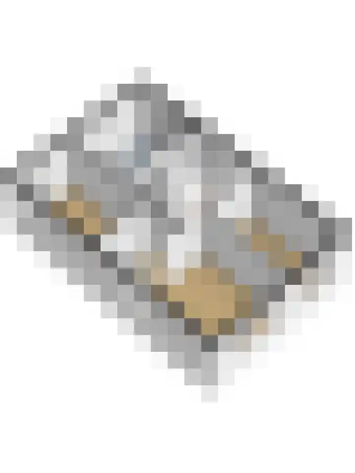 De Groes 2 d Schalkwijk thumbnail 66