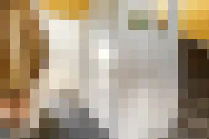 De Groes 2 d Schalkwijk thumbnail 7