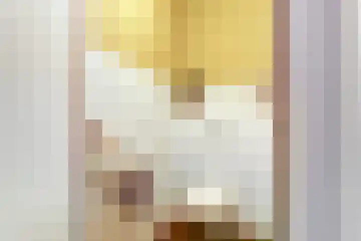 De Groes 2 d Schalkwijk thumbnail 9