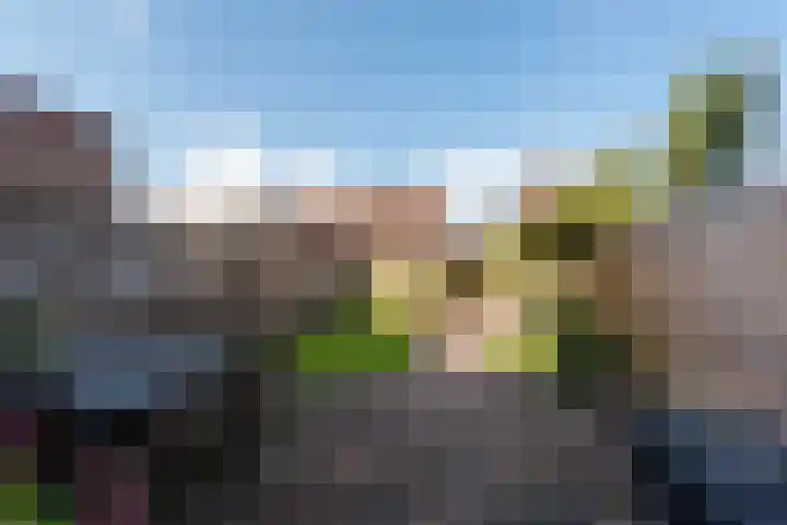 De Groes 32 Schalkwijk thumbnail 18