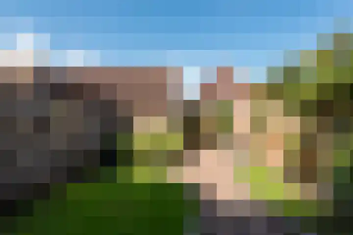 De Groes 32 Schalkwijk thumbnail 19