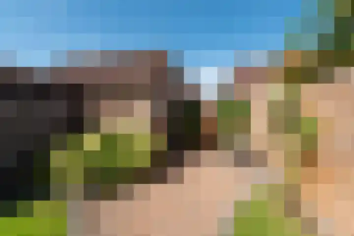 De Groes 32 Schalkwijk thumbnail 20