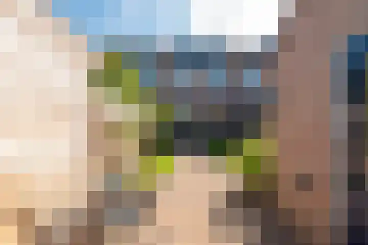 De Groes 32 Schalkwijk thumbnail 21
