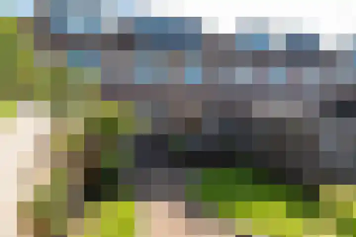 De Groes 32 Schalkwijk thumbnail 22
