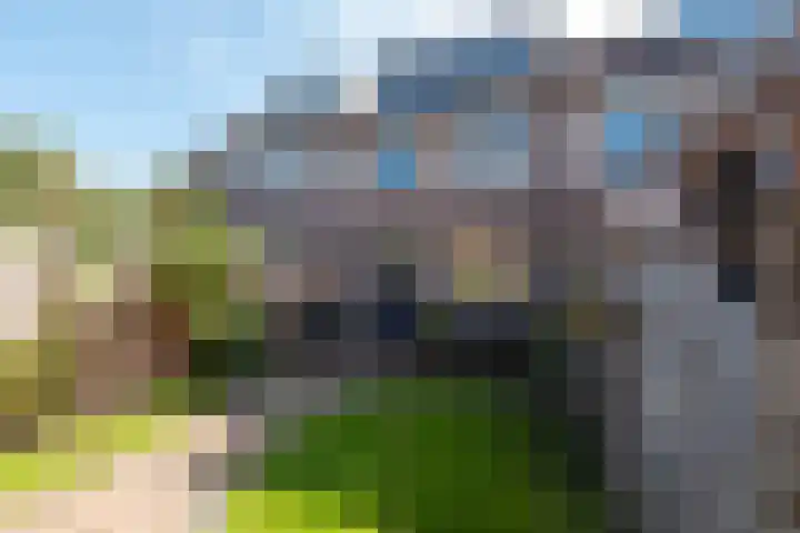 De Groes 32 Schalkwijk thumbnail 23