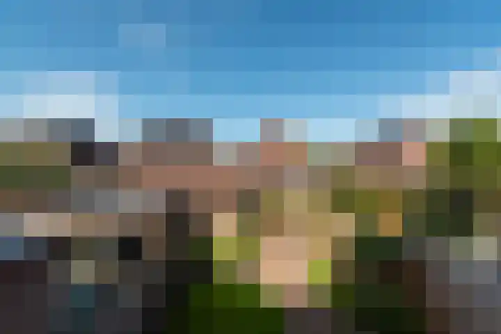 De Groes 32 Schalkwijk thumbnail 27