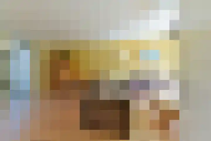 De Groes 32 Schalkwijk thumbnail 4