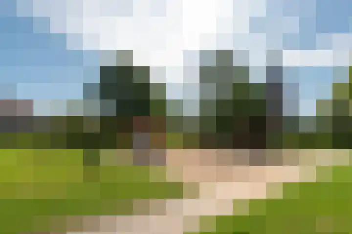 De Groes 32 Schalkwijk thumbnail 41