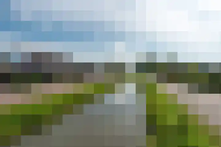 De Groes 32 Schalkwijk thumbnail 43