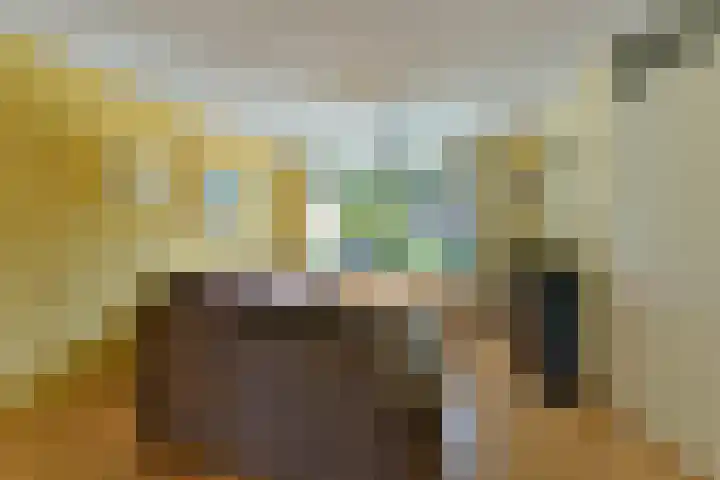 De Groes 32 Schalkwijk thumbnail 7