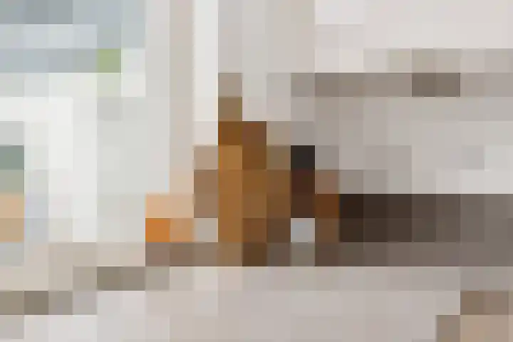 De Groes 6 Schalkwijk thumbnail 17