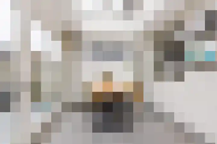 De Groes 6 Schalkwijk thumbnail 21