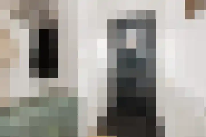 De Groes 6 Schalkwijk thumbnail 4