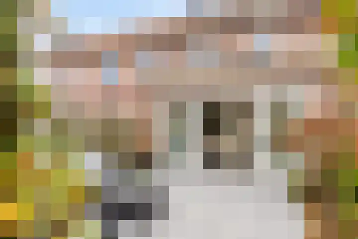 De Groes 6 Schalkwijk thumbnail 43