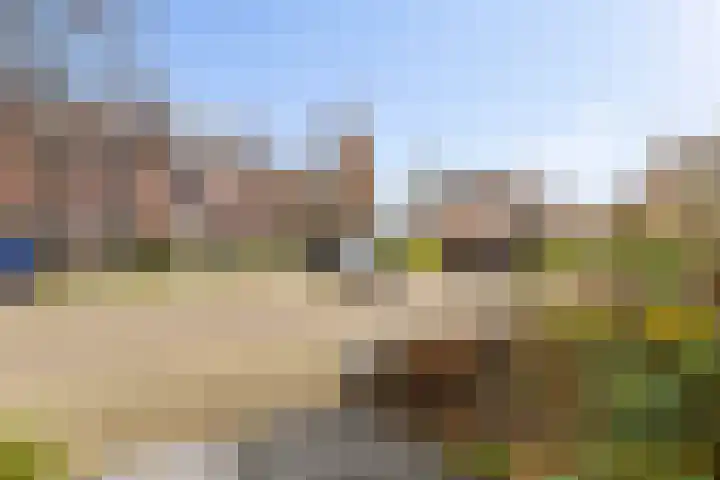 De Groes 6 Schalkwijk thumbnail 52